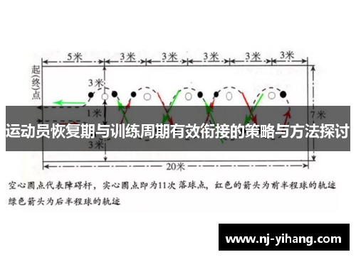 运动员恢复期与训练周期有效衔接的策略与方法探讨